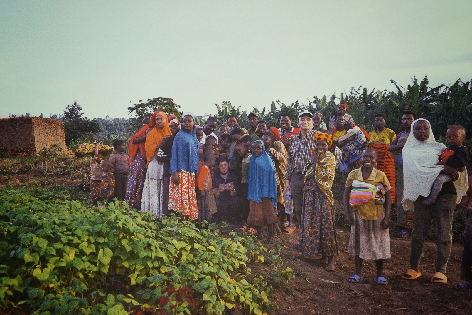 Seis Hormigas Communication for change